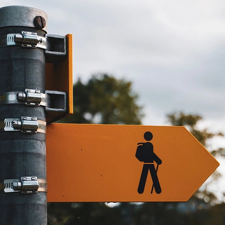 Comprendre la fiche d'une entreprise